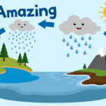 Quiz: The Basics of the Water Cycle | Easy Science Lesson