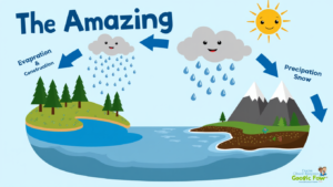 The basics of water cycle