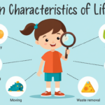 Quiz: Basic Characteristics of Living Things, Fun Science Challenge.