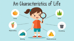 Quiz: Basic Characteristics of Living Things